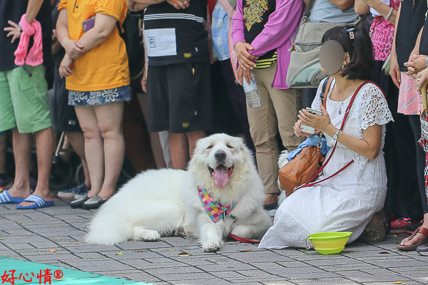 IMG_0490-2.jpg IMG_0490-2.jpg