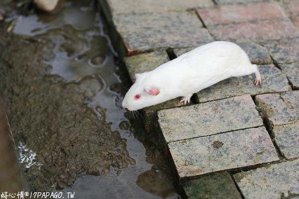 IMG_3180.jpg IMG_3180.jpg