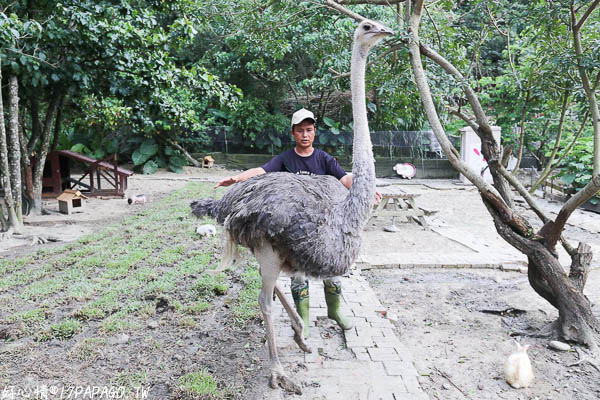 IMG_3157.jpg IMG_3157.jpg