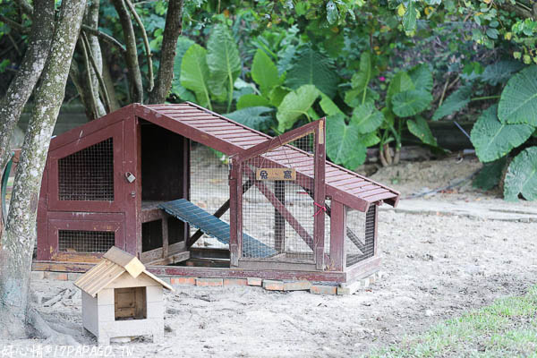 IMG_3195.jpg IMG_3195.jpg