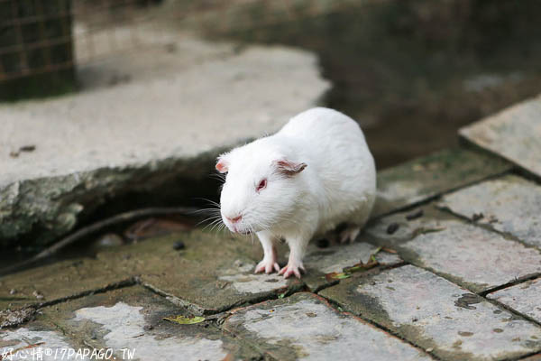 IMG_3184.jpg IMG_3184.jpg