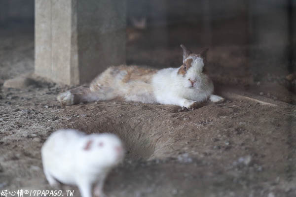 IMG_3203.jpg IMG_3203.jpg