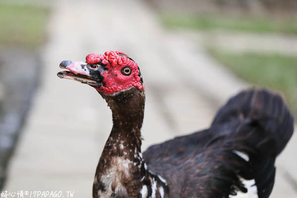 IMG_3216.jpg IMG_3216.jpg