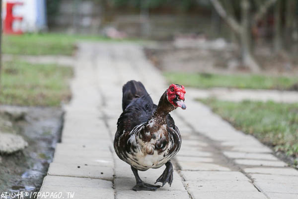 IMG_3214.jpg IMG_3214.jpg