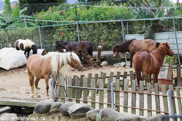 IMG_3238.jpg IMG_3238.jpg