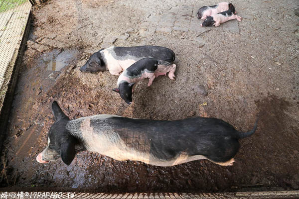 IMG_3388.jpg IMG_3388.jpg