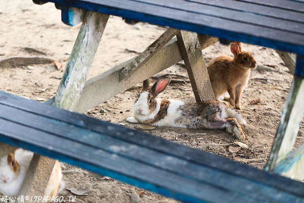 IMG_3371.jpg IMG_3371.jpg