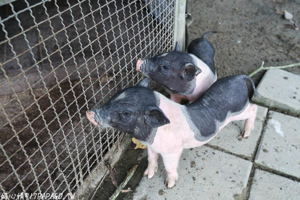 IMG_3423.jpg IMG_3423.jpg