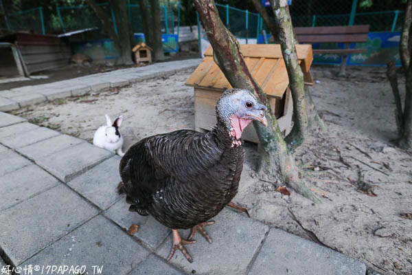 IMG_3429.jpg IMG_3429.jpg