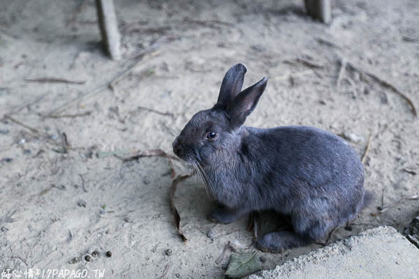 IMG_3433.jpg IMG_3433.jpg