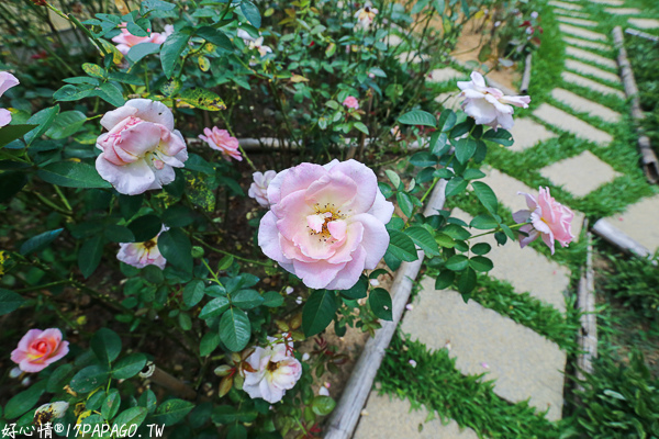 IMG_8015.jpg IMG_8015.jpg