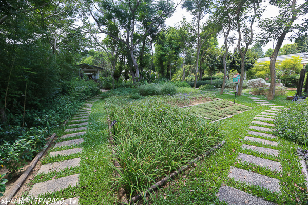 IMG_7976.jpg IMG_7976.jpg