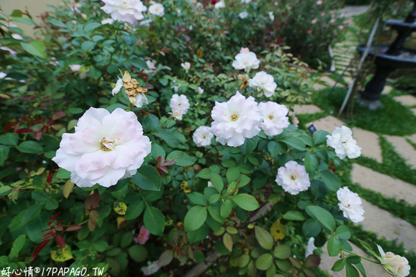 IMG_8029.jpg IMG_8029.jpg