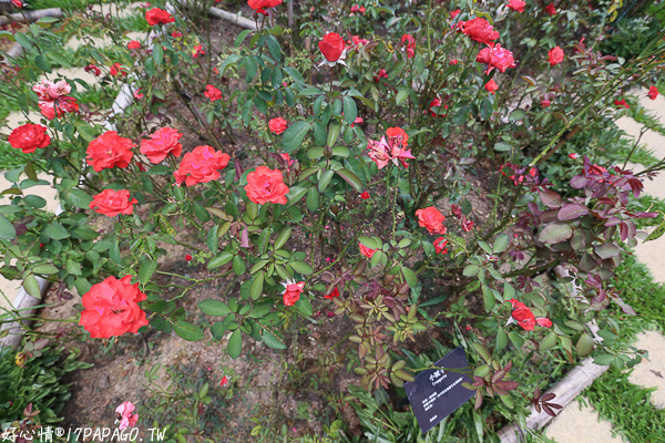 IMG_8022.jpg IMG_8022.jpg