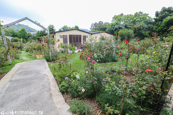 IMG_8052.jpg IMG_8052.jpg