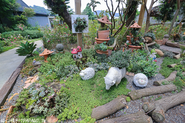 IMG_8081.jpg IMG_8081.jpg