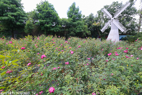 IMG_8102.jpg IMG_8102.jpg