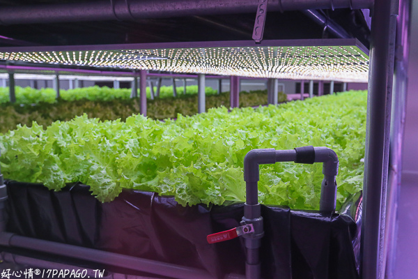 IMG_8166.jpg IMG_8166.jpg