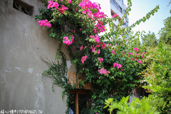 IMG_8817.jpg IMG_8817.jpg