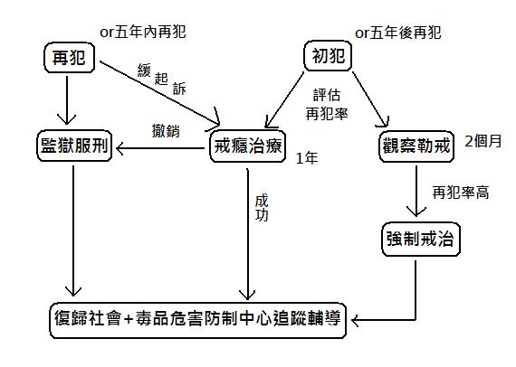 毒品施用者的刑事政策.jpg