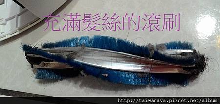 試用