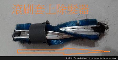試用