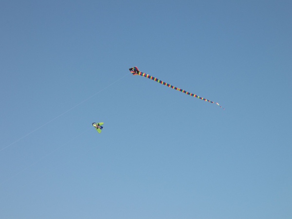 100_3124a.JPG