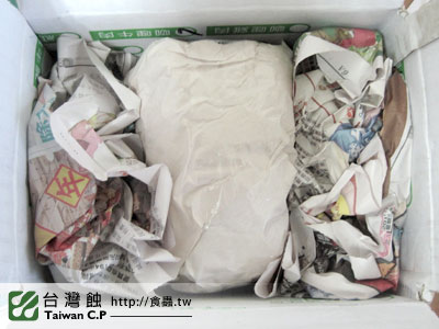 台灣蝕-0117-出貨品管-1.jpg 台灣蝕-0117-出貨品管-1.jpg