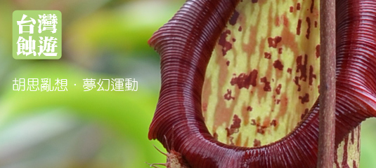台灣蝕遊-胡思亂想.夢幻運動.jpg 台灣蝕遊-胡思亂想.夢幻運動.jpg