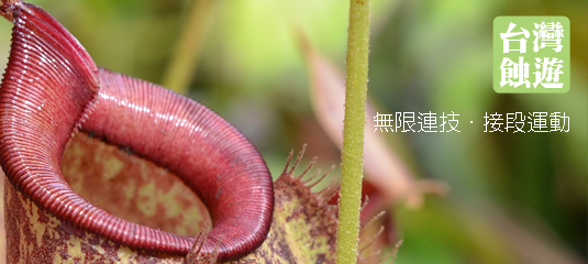 台灣蝕遊-無限連技.接段運動.jpg 台灣蝕遊-無限連技.接段運動.jpg