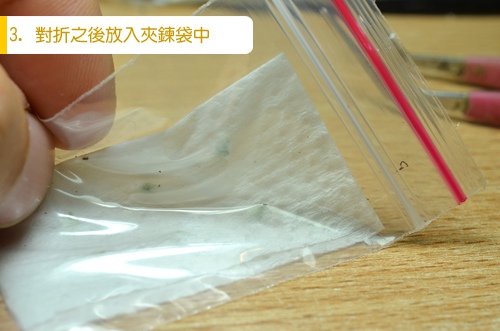 台灣蝕-苞芽出貨包裝流程-3.jpg 台灣蝕-苞芽出貨包裝流程-3.jpg