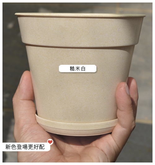 週邊 可分解 環保花盆 美化您的寶貝植物 台灣蝕苑taiwan C P S 線上食蟲植物專賣店 食蟲 Tw 痞客邦