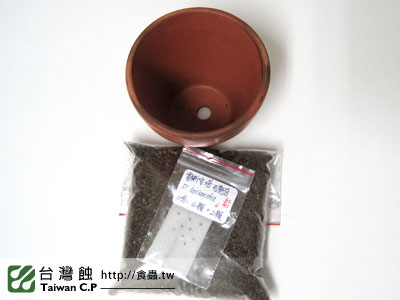 台灣蝕-0131-出貨品管-1.jpg 台灣蝕-0131-出貨品管-1.jpg