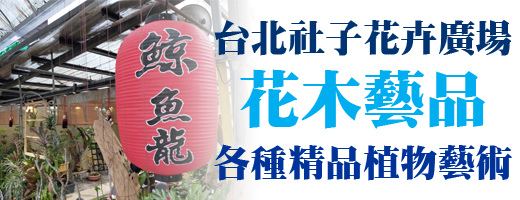 2020Welcome TCPS Shop6.jpg 2020Welcome TCPS Shop.jpg