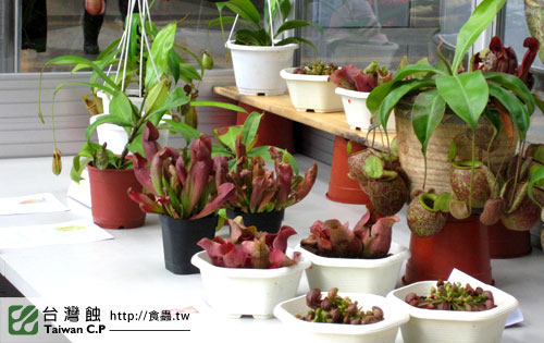 台灣蝕-1021南軟展售會-14.jpg 台灣蝕-1021南軟展售會-14.jpg