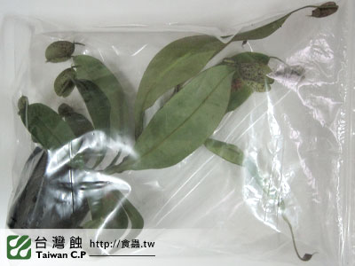 台灣蝕-0221-謝小姐出貨品管-1.jpg 台灣蝕-0221-謝小姐出貨品管-1.jpg