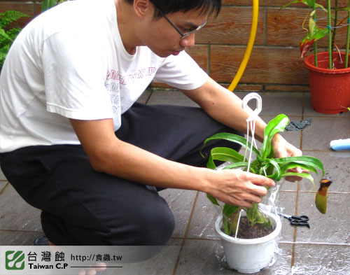 台灣蝕-1021南軟展售會-行前紀錄1.jpg 台灣蝕-1021南軟展售會-行前紀錄1.jpg