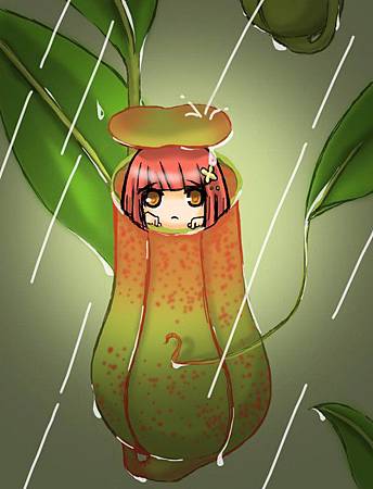 下雨天時豬籠草的用途.jpg 下雨天時豬籠草的用途.jpg