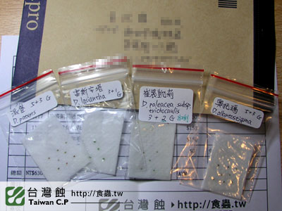 台灣蝕-0207-吳先生出貨品管-1.jpg 台灣蝕-0207-吳先生出貨品管-1.jpg