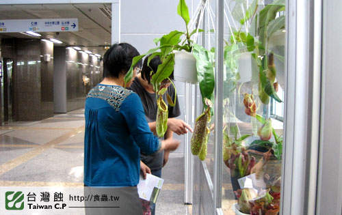 台灣蝕-1021南軟展售會-11.jpg 台灣蝕-1021南軟展售會-11.jpg