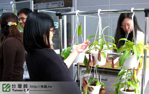 台灣蝕-1021南軟展售會-19.jpg 台灣蝕-1021南軟展售會-19.jpg