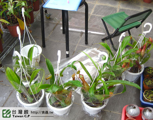 台灣蝕-1021南軟展售會-行前紀錄3.jpg 台灣蝕-1021南軟展售會-行前紀錄3.jpg
