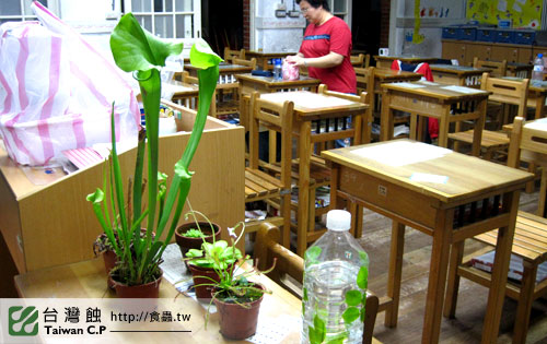 台灣蝕-0506-大同社大食蟲講座-25.jpg 台灣蝕-0506-大同社大食蟲講座-25.jpg