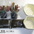 2010-10-26-出貨品管-台灣蝕-01.jpg