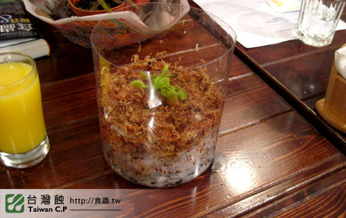 TCP1食蟲交流會-12-台灣蝕.jpg TCP1食蟲交流會-12-台灣蝕.jpg