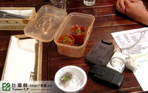 TCP1食蟲交流會-13-台灣蝕.jpg TCP1食蟲交流會-13-台灣蝕.jpg