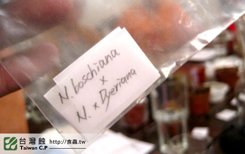 TCP1食蟲交流會-05-台灣蝕.jpg TCP1食蟲交流會-05-台灣蝕.jpg