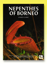 台灣蝕-Nepenthes-of-Borneo