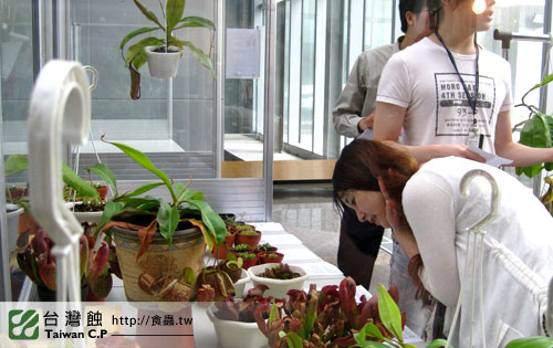 台灣蝕-1021南軟展售會-21.jpg 台灣蝕-1021南軟展售會-21.jpg