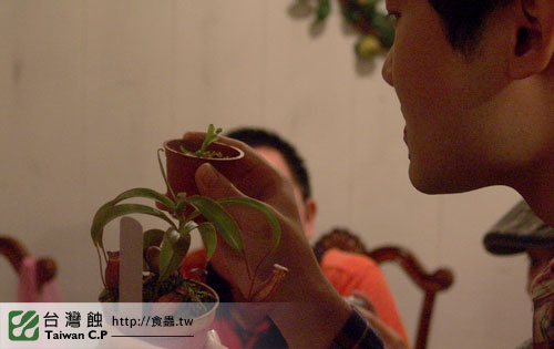 TCP1食蟲交流會-32-台灣蝕.jpg TCP1食蟲交流會-32-台灣蝕.jpg